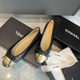 Z1ZC244 Popular Casual shoes