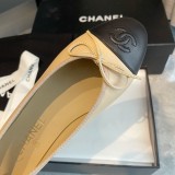 Z1ZC244 Popular Casual shoes