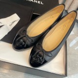 Z1ZC244 Popular Casual shoes