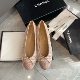 Z1ZC243 Popular Casual shoes
