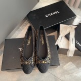 Z1ZC243 Popular Casual shoes