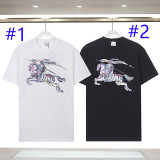 U1W25R35  Popular T-shirts
