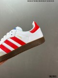Z4Z35A18 Popular shoes (No box)