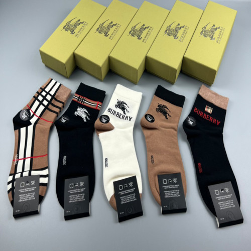 235QR13S Popular socks(5 pairs )