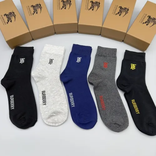 235QR25S fashion socks(5 pairs )