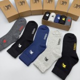 235QR24S Popular socks(5 pairs )