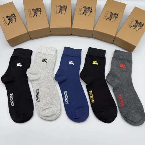 235QR24S fashion socks(5 pairs )