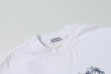 U1R45A160 Popular T-shirt