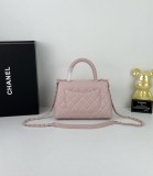 B1N55C25 Popular    Purse bags