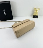 B1N55C24 Popular    Purse bags