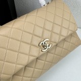 B1N55C24 Popular    Purse bags