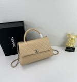 B1N55C24 Popular    Purse bags