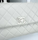 B1N55C25 Popular    Purse bags