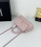 B1N55C25 Popular    Purse bags