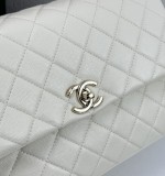 B1N55C24 Popular    Purse bags