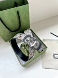 P1R55B229 Popular High quality belt With full package