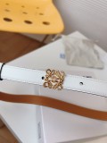 P1R55A227 Popular High quality belt With full package