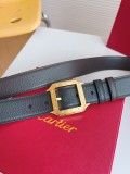 P1R55K246 Popular   High quality belt With full package