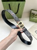 P1R55B229 Popular High quality belt With full package