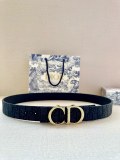 P1R55D206 Popular   High quality belt With full package