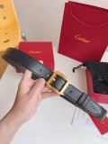 P1R55K246 Popular   High quality belt With full package