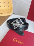 P1R55K243 Popular  High quality belt With full package
