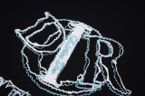 U1Z75D11 Popular T-shirts