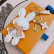A1Z105E88 Popular bag 's charms accessories