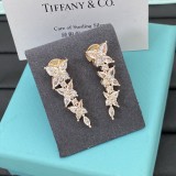 15ZT38E Popular Earrings