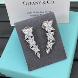 15ZT38E Popular Earrings