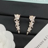 15ZT38E Popular Earrings