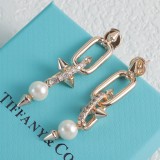 15ZT83E Popular Earrings