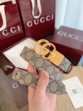 P1Q115B5 Popular High quality belt With full package