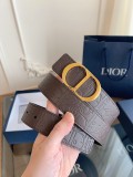 P1Q115D4 Popular High quality belt With full package