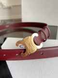 P1Q115N31 Popular High quality belt With full package