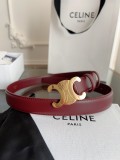 P1Q115N31 Popular High quality belt With full package