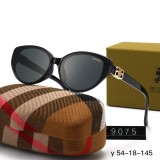 136NR30T Popular Sunglasses