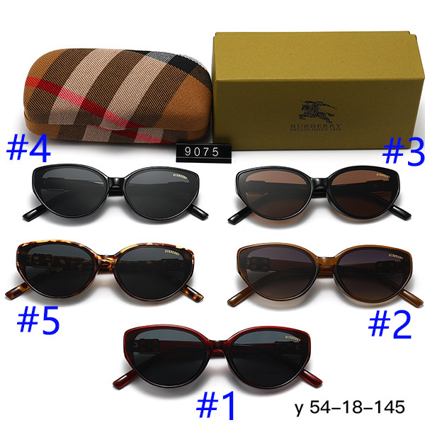136NR30T Popular Sunglasses