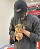 16XJ36M Popular hats
