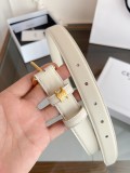 P1P36N48 Popular High quality belt With full package