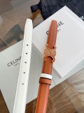P1P36N49 Popular High quality belt With full package