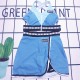 Y1N36E6 Popular  Bikini swimsuit