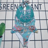 Y1N36A12 Popular  Bikini swimsuit