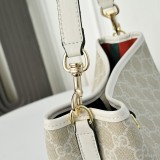 B1P36C53 Popular bag