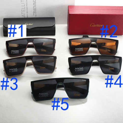 T1R46K17 Popular Sunglasses