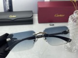 T1R46K24 Popular Sunglasses