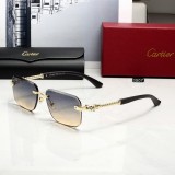 T1R46K24 Popular Sunglasses