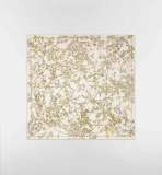 146ND38W Popular Silk Scarve