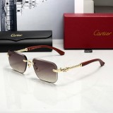 T1R46K24 Popular Sunglasses
