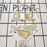 Y1R46V10 Popular Bikini swimsuit